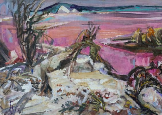 «The Pink Lake. Torrevieja»