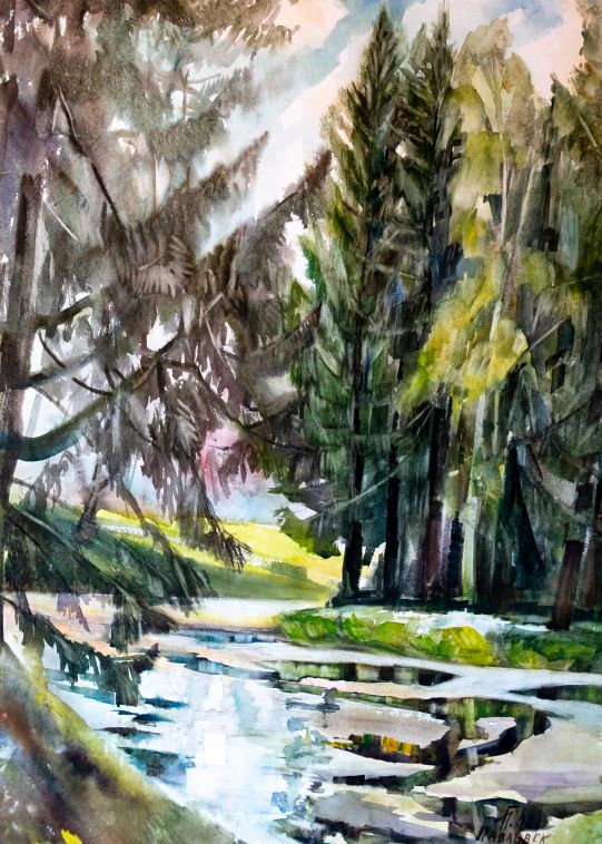 «Pavlovsk. Fir trees I»